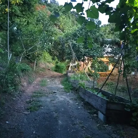 Mountain Jungalows, Koh Chang Trat Exterior photo