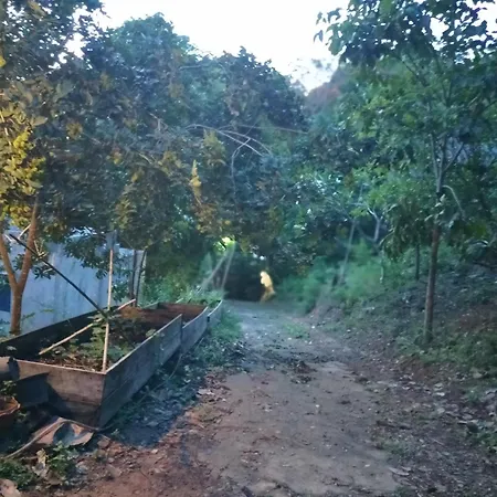 Mountain Jungalows, Koh Chang Trat Exterior photo